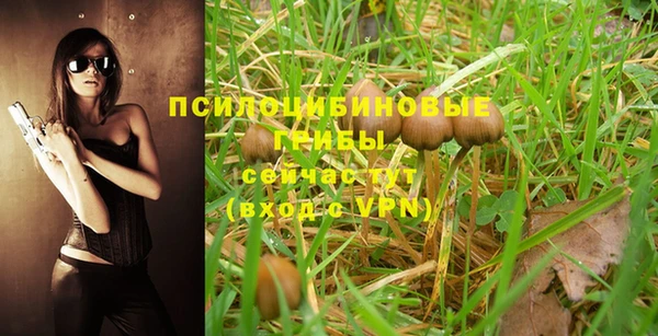 кокаин перу Богданович